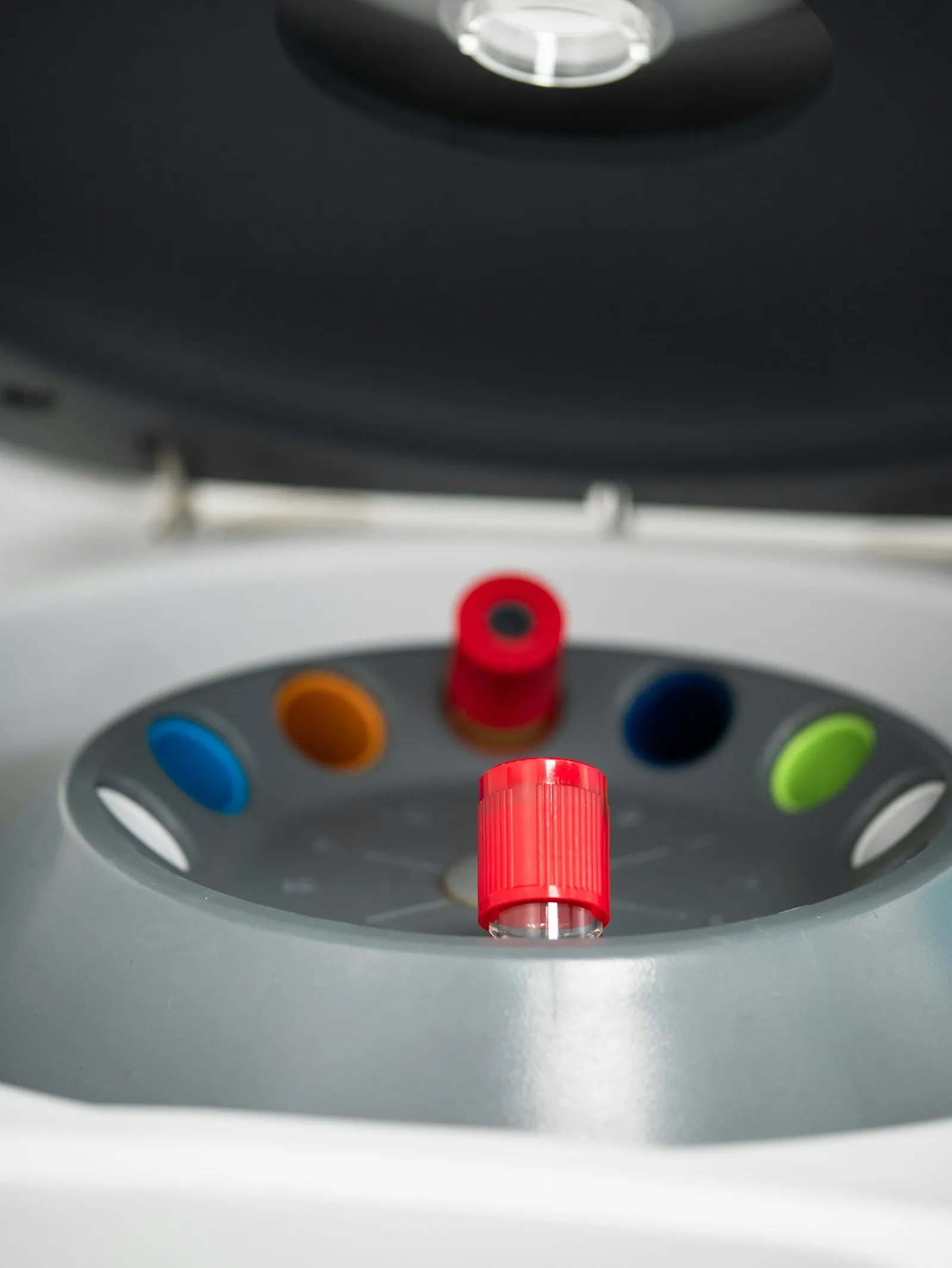 Inside a benchtop centrifuge, with coloured tube holders